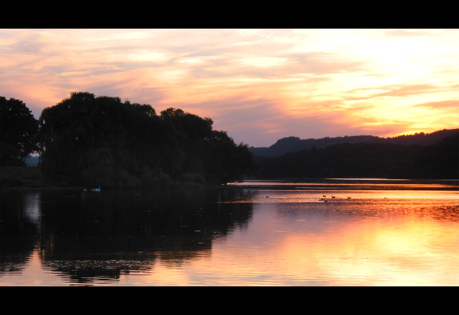 Cootes Paradise, Hamilton, ON, Canada