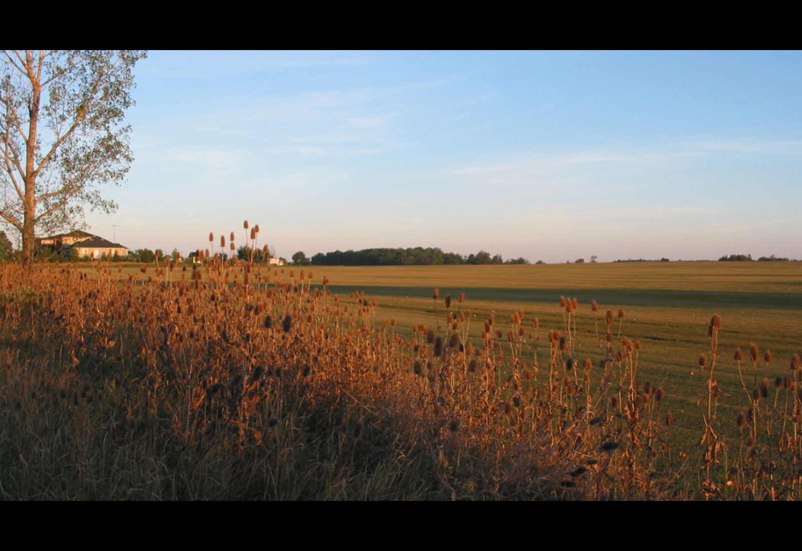 Mount Hope, ON, Canada