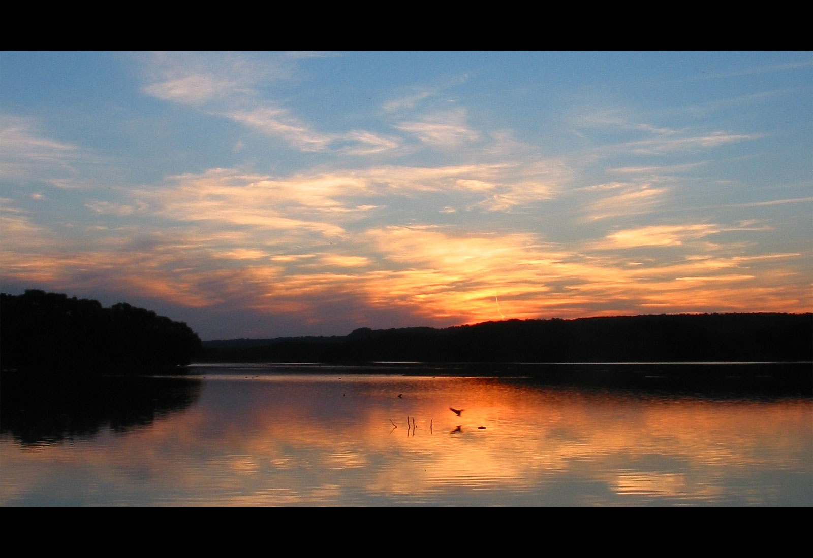 Cootes Paradise, Hamilton, ON, Canada